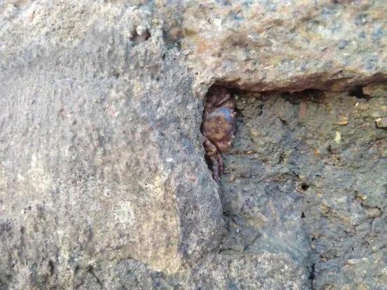 ��2��Ա�������ٷ���վ