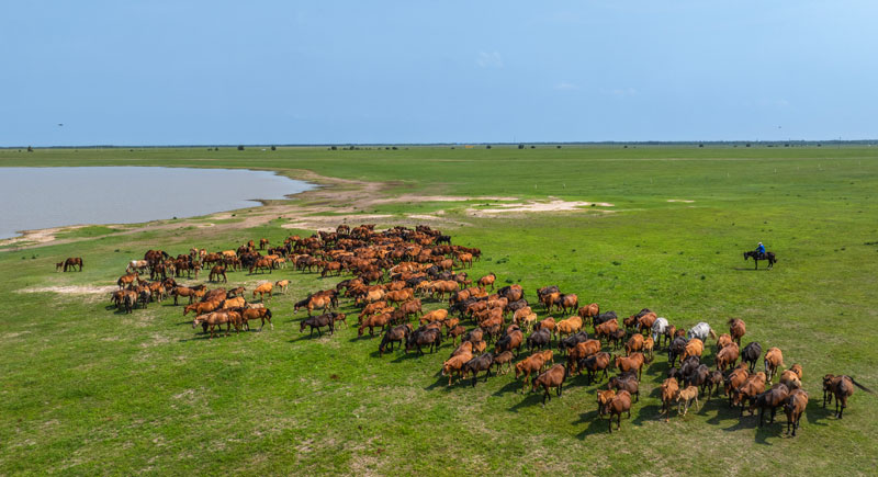 ��2��Ա�������ٷ���վ