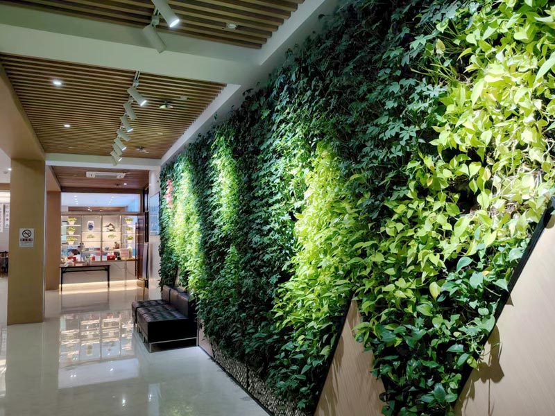 ��2��Ա�������ٷ���վ